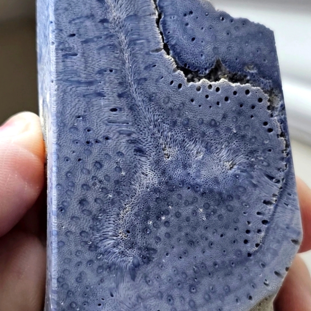 163grams, Blue Coral Tower 160×40×20mm, NEW!